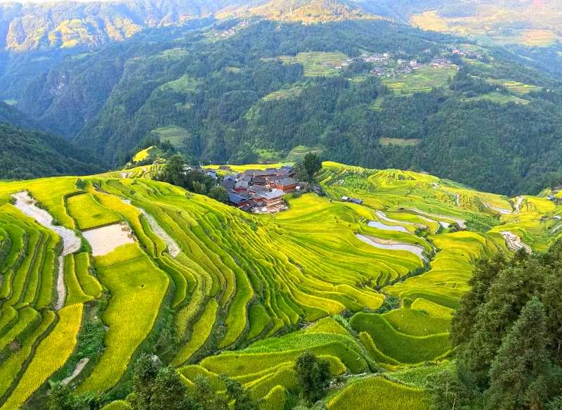 梯田
